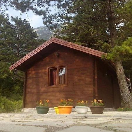 Iliria Tiny House Llogora Orikum Esterno foto