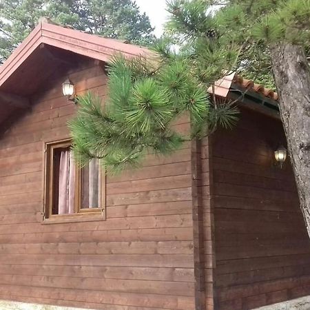 Iliria Tiny House Llogora Orikum Esterno foto