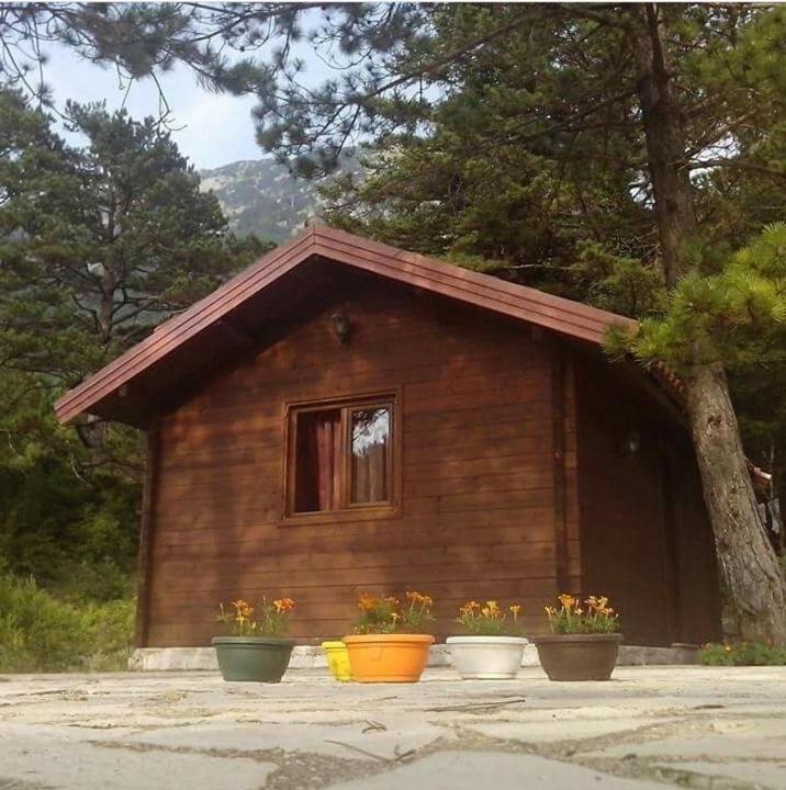 Iliria Tiny House Llogora Orikum Esterno foto